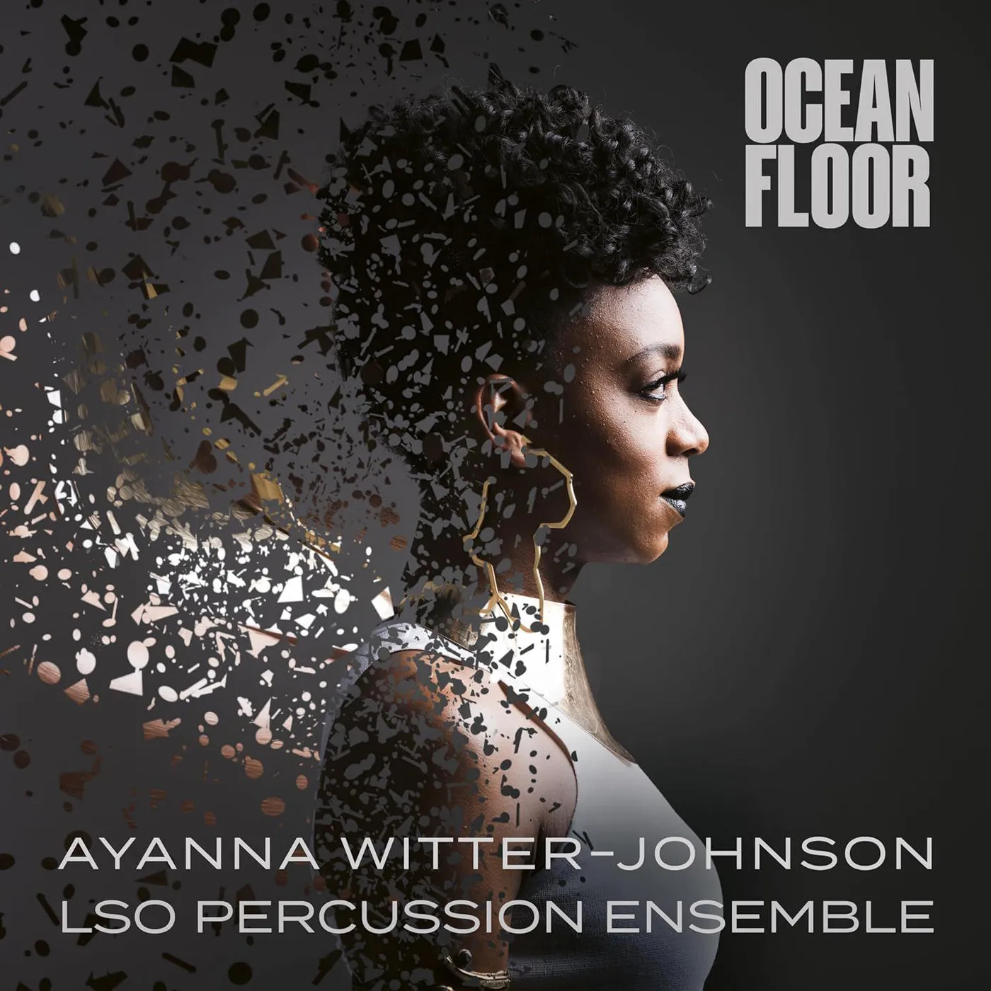 Ayanna Witter-Johnson Ocean Floor Vinyl Record
