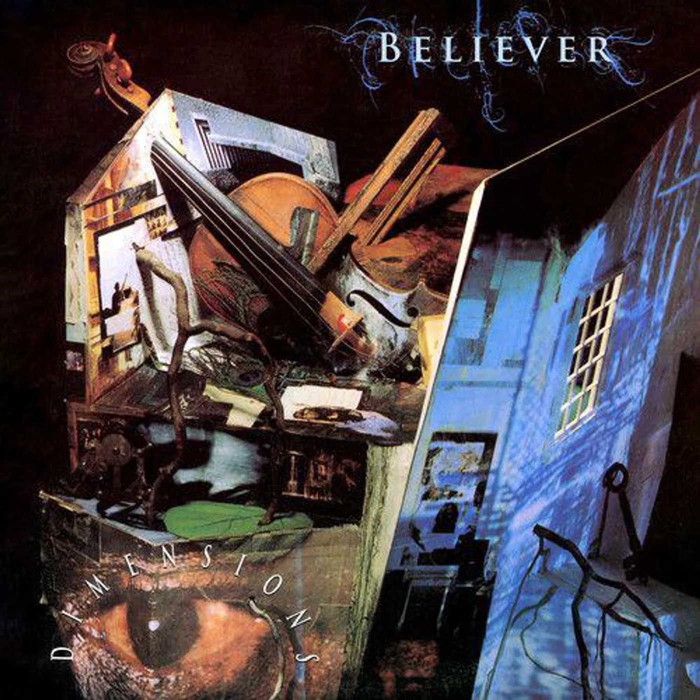 Believer Dimensions (Limited/2LP/Black/Blue) Vinyl Record