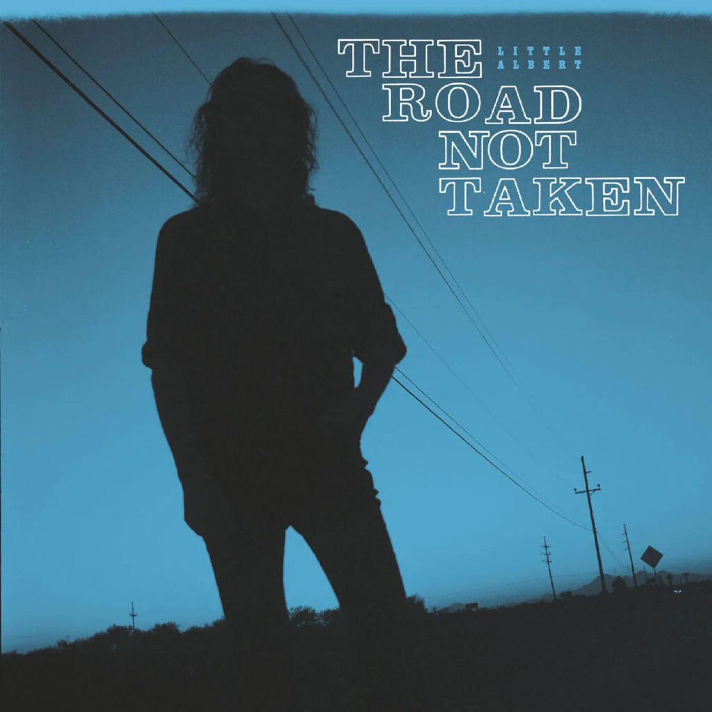 Little Albert Road Not Taken Vinyl Record