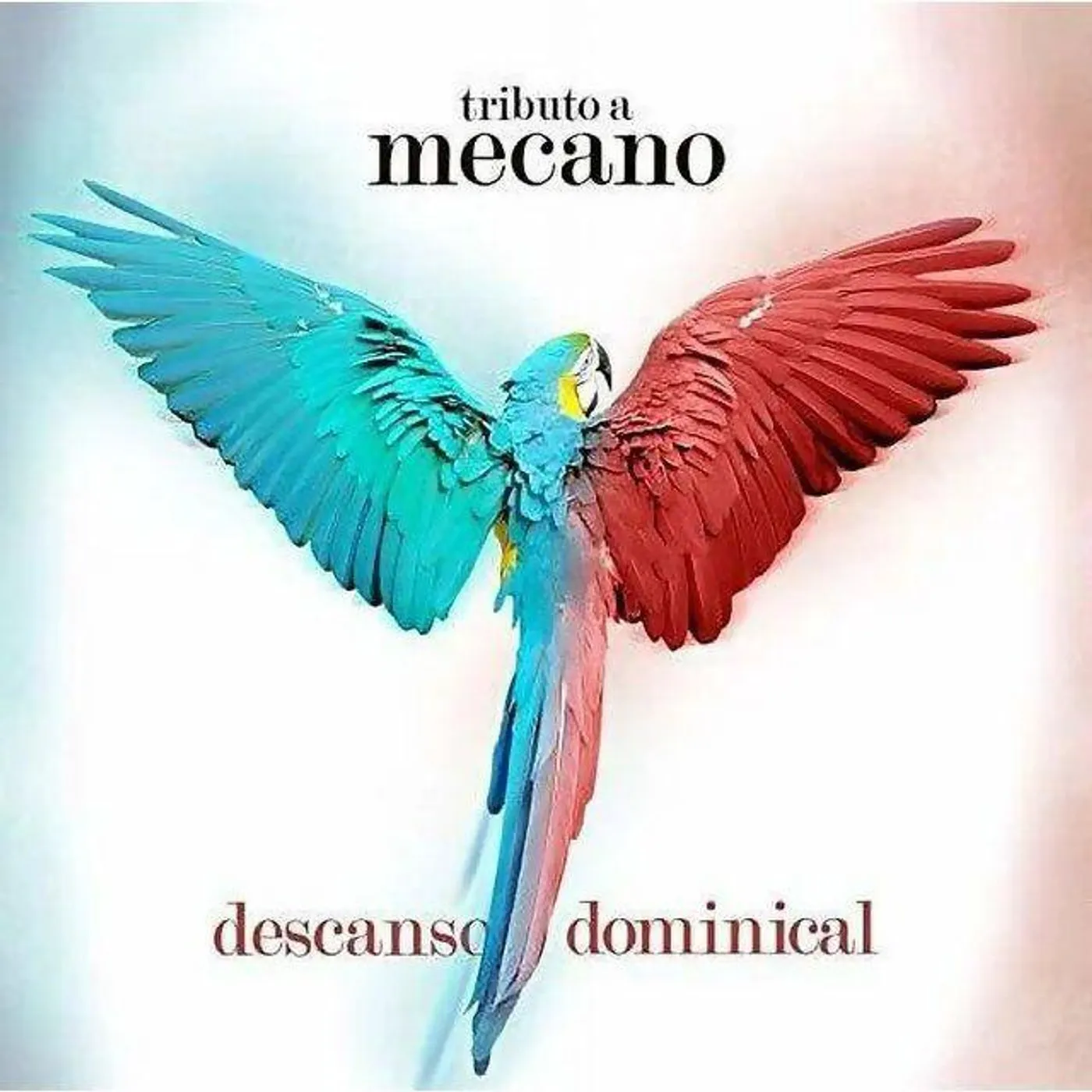 Descanso Dominical Tributo A Mecano / Various Descanso Dominical Tributo A Mecano Vinyl Record