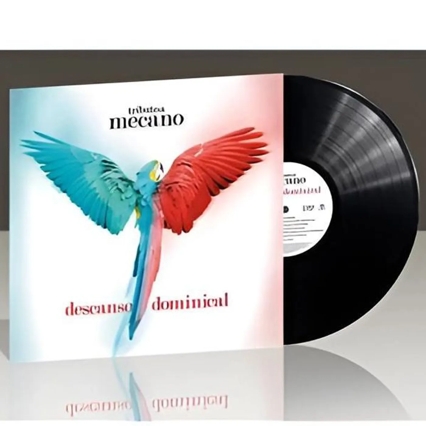 Descanso Dominical Tributo A Mecano / Various Descanso Dominical Tributo A Mecano Vinyl Record