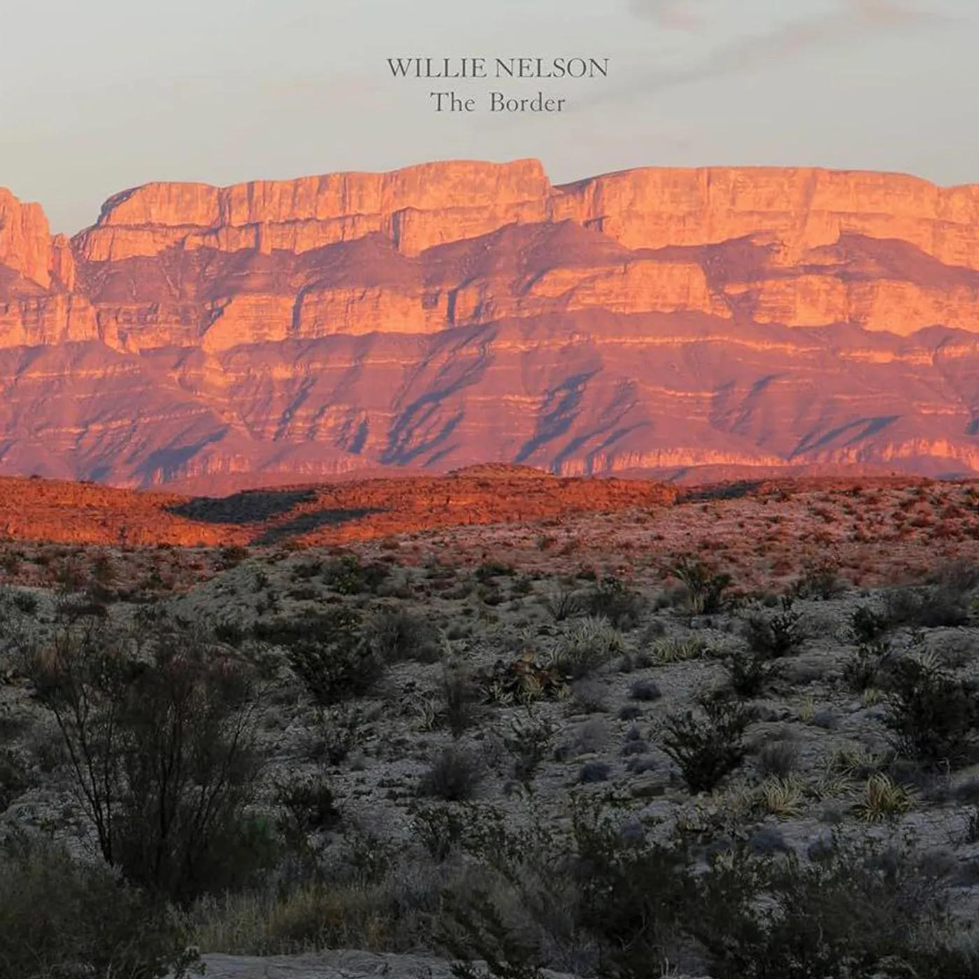 Willie Nelson Border Vinyl Record