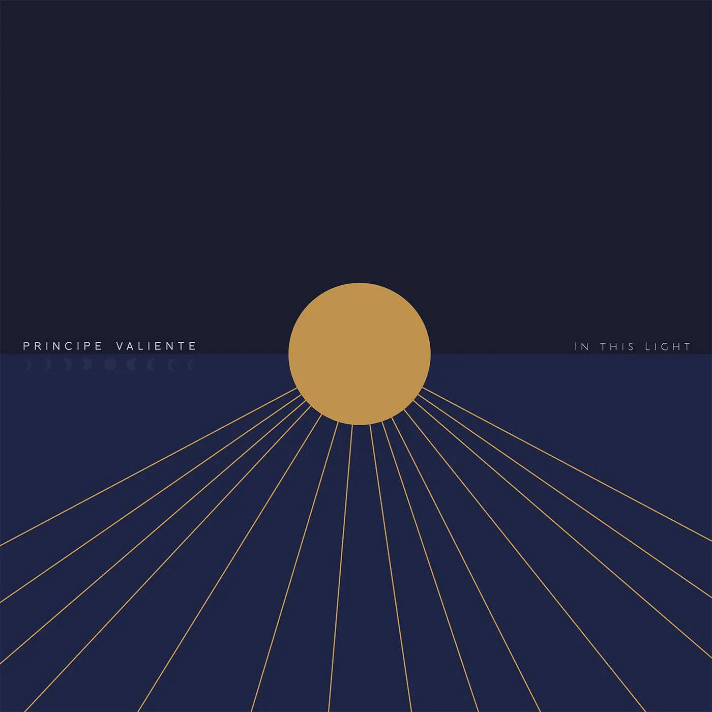 Principe Valiente In This Light Vinyl Record