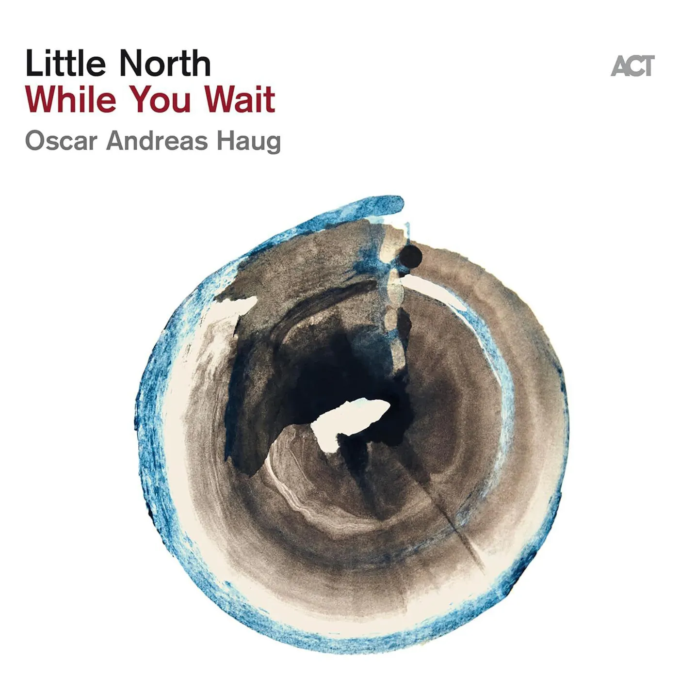 Little North While You Wait (180g Black) Vinyl Record