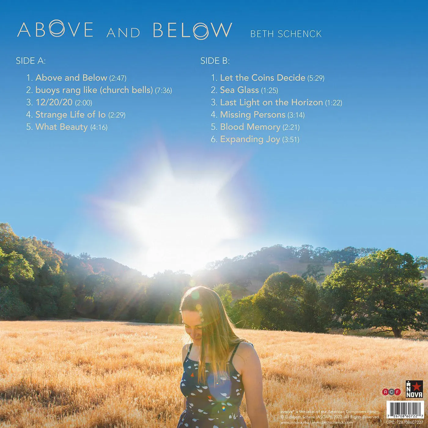 Beth Schenck Above & Below Vinyl Record