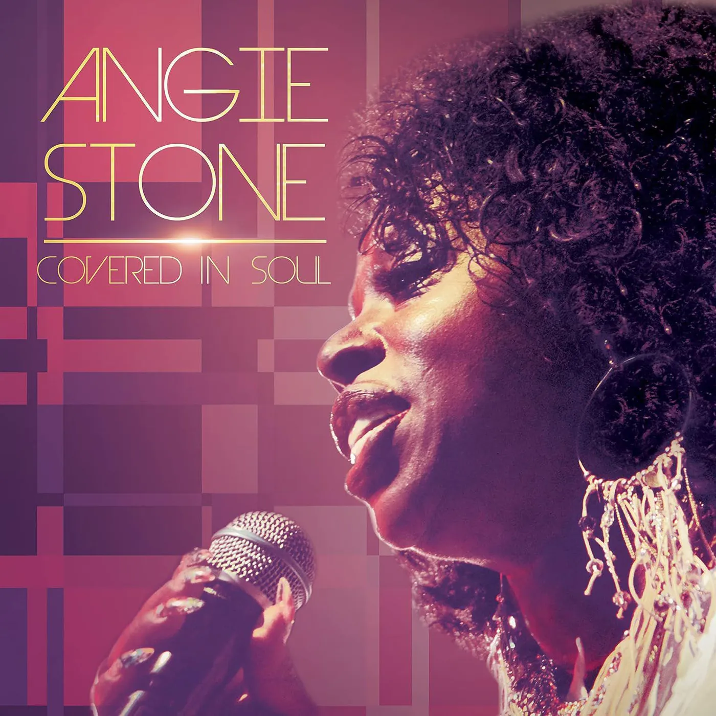 Stone Stone Covered In Soul (Purple) Vinyl Record
