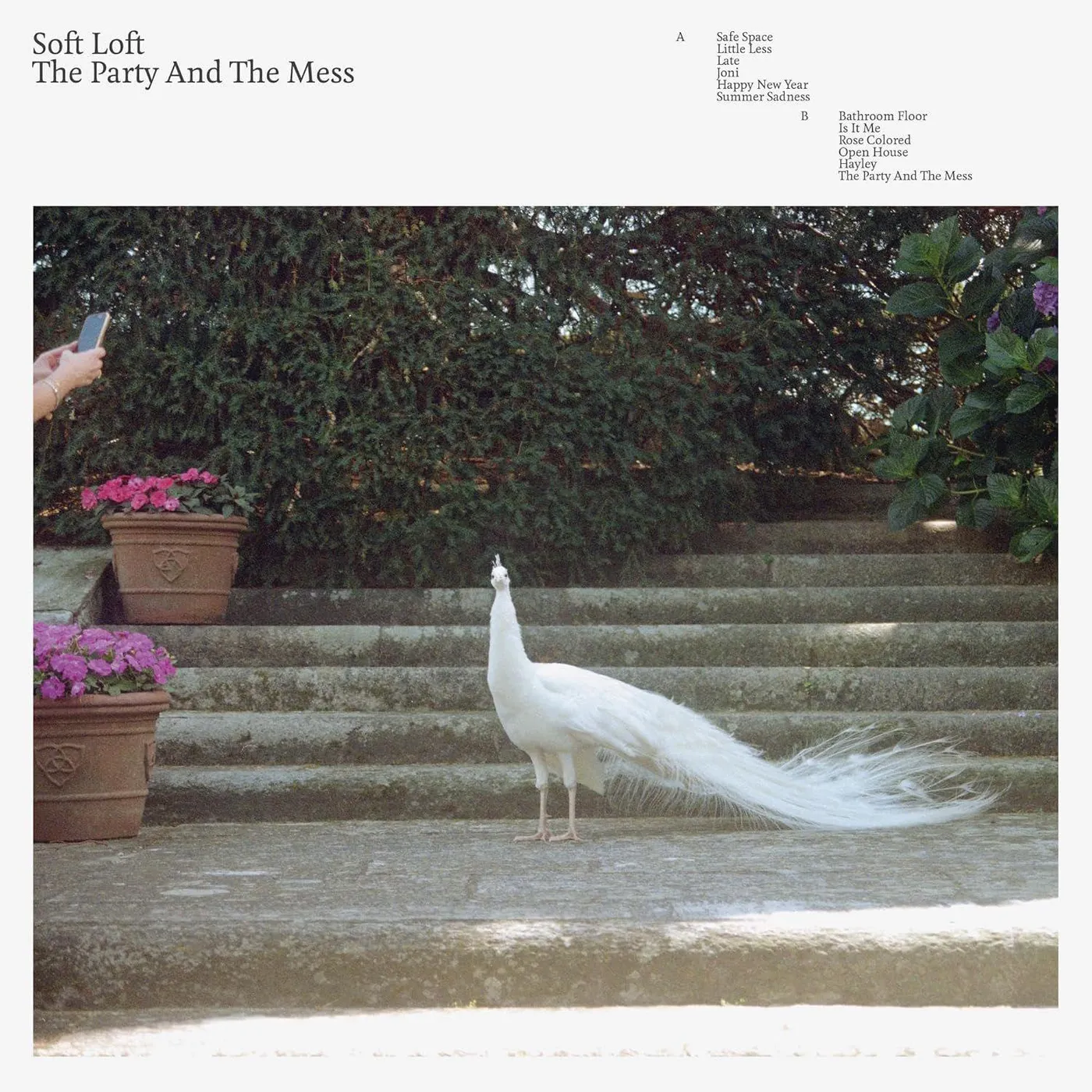 Soft Loft Party & The Mess Vinyl Record