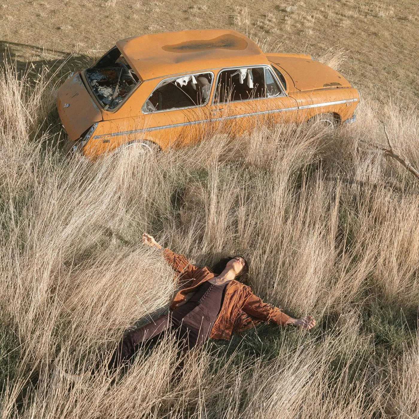 Lawrence Rothman Plow That Broke The Plains Vinyl Record