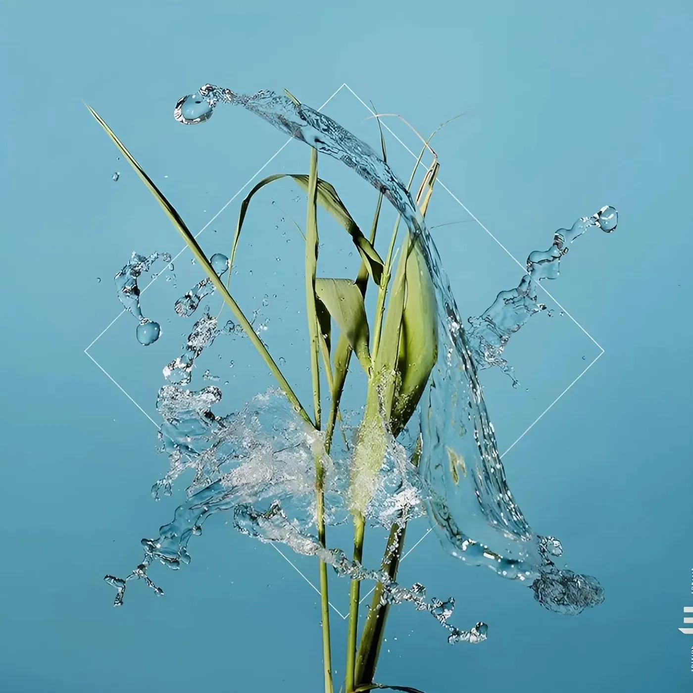 Fergus McCreadie Stream (Limited Edition Transparent) Vinyl Record