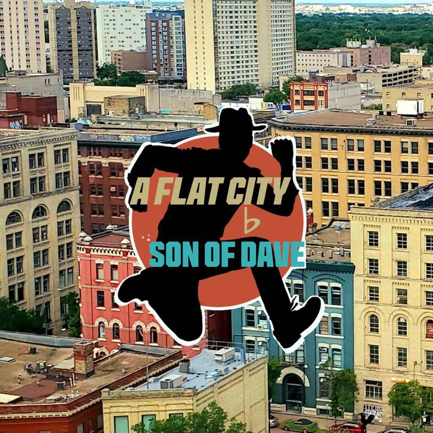 Son Of Dave A Flat City Vinyl Record