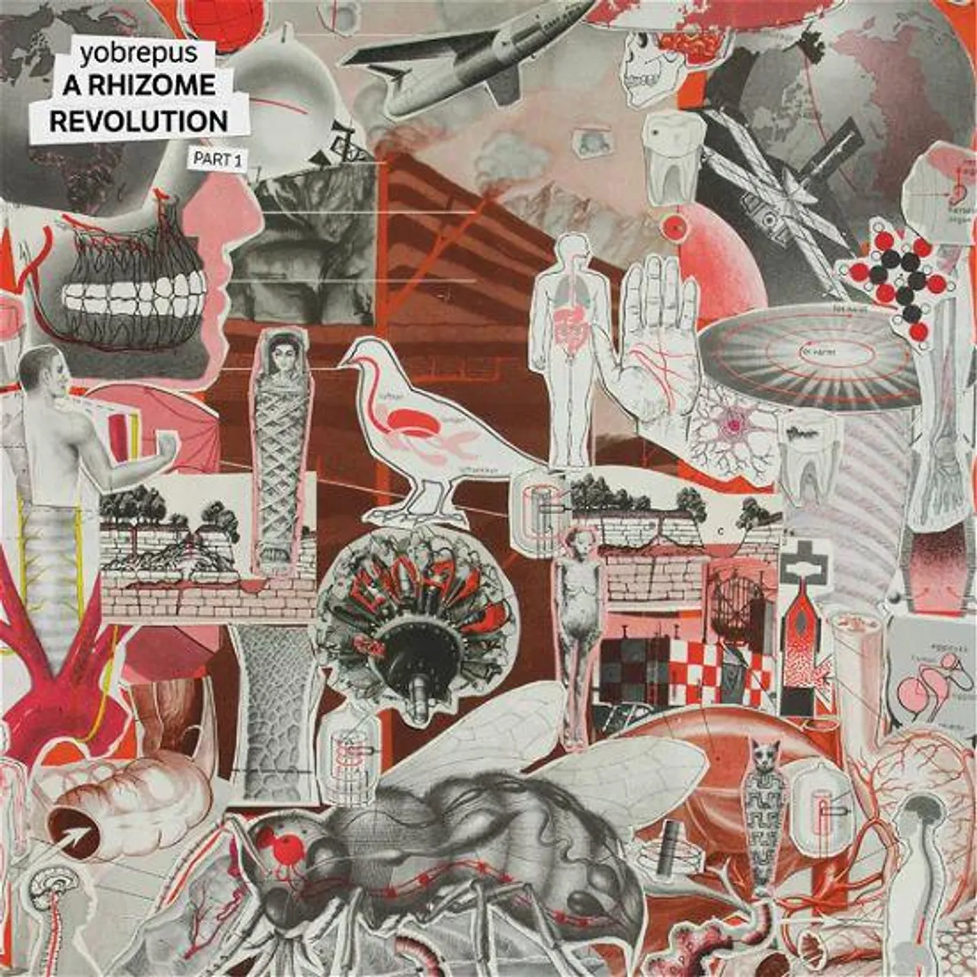 Yobrepus Rhizome Revolution Part 1 Vinyl Record