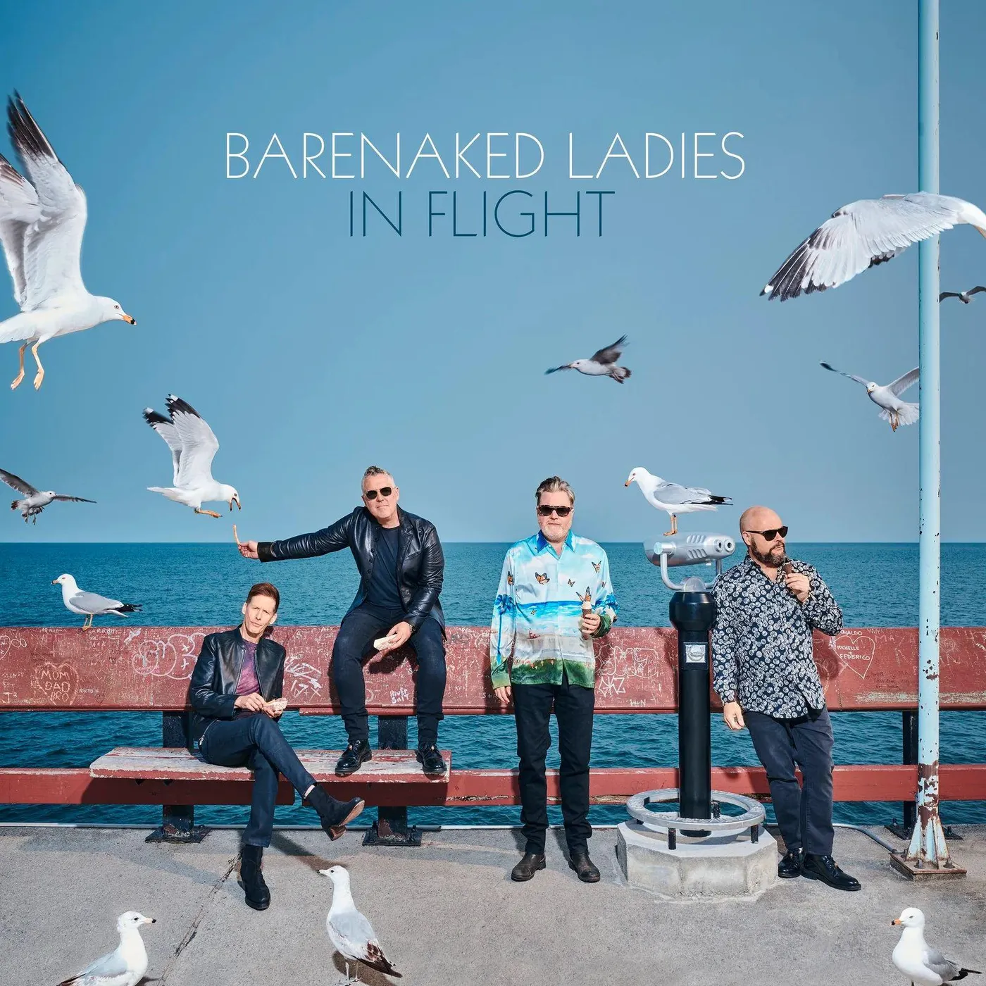 Barenaked Ladies In Flight (180g/Picture Disc) Vinyl Record