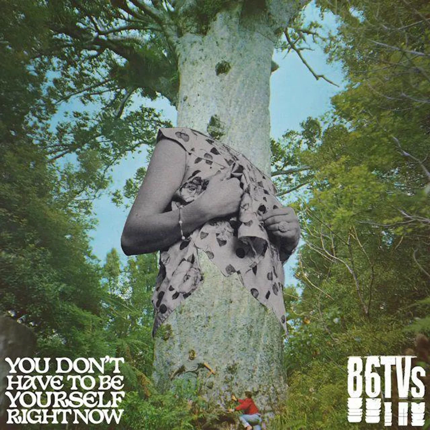 86TVs You Don't Have To Be Yourself Vinyl Record