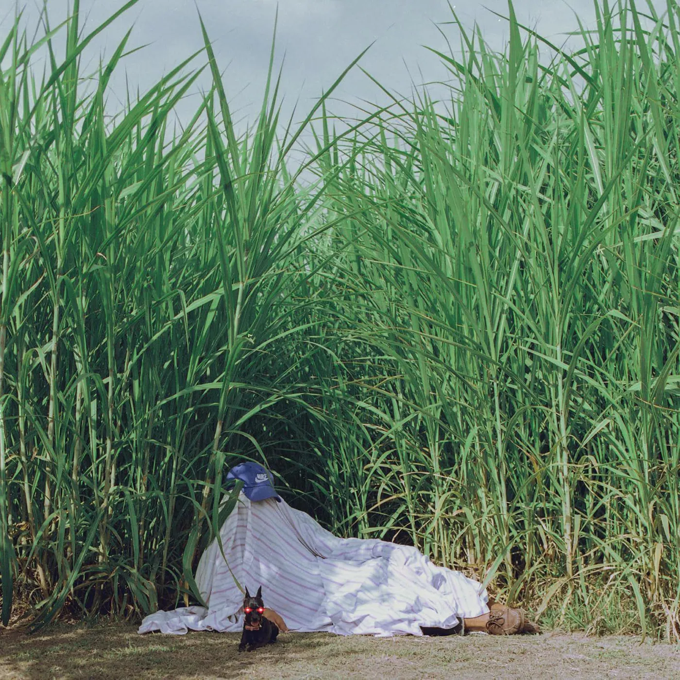 Indus Negra Vinyl Record