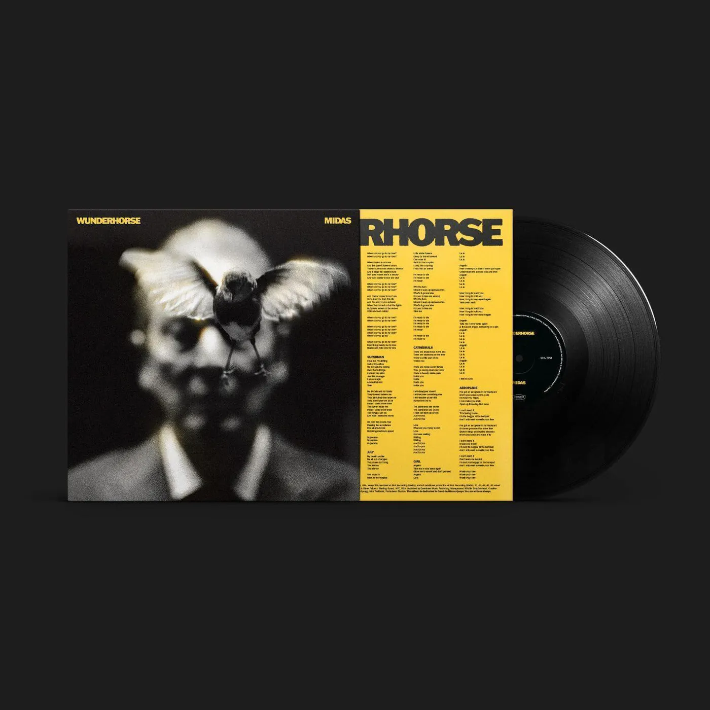 Wunderhorse Midas (Black) Vinyl Record