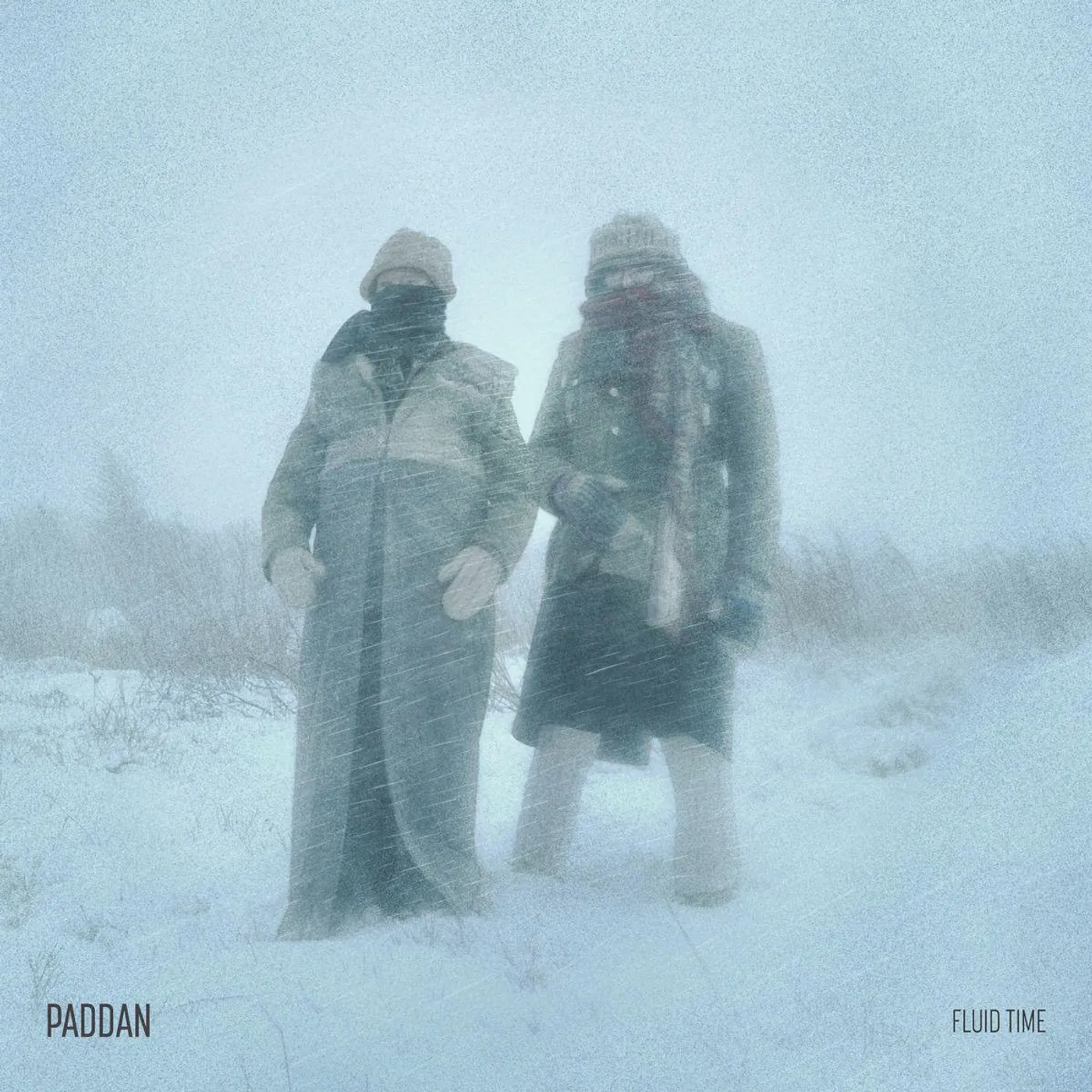 Paddan Fluid Time Vinyl Record