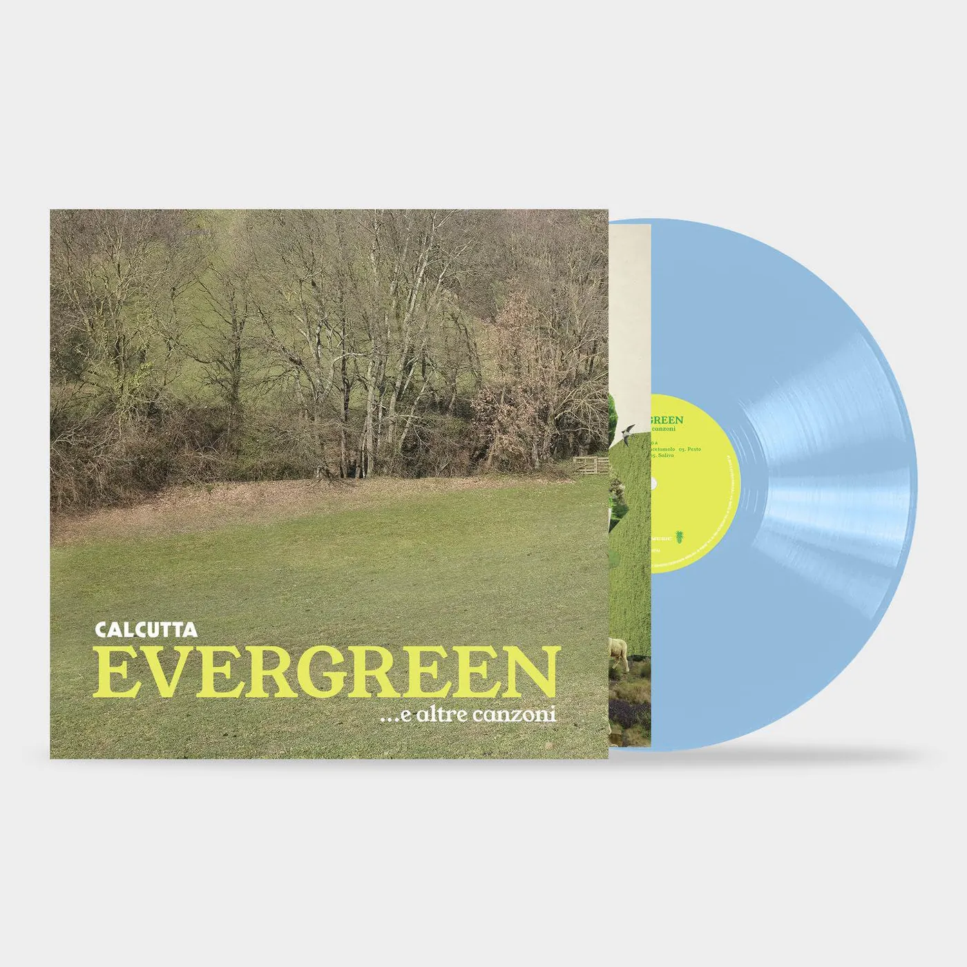 Calcutta  Evergreen E Altre Canzoni (2LP/180-Gram/Baby Blue) Vinyl Record