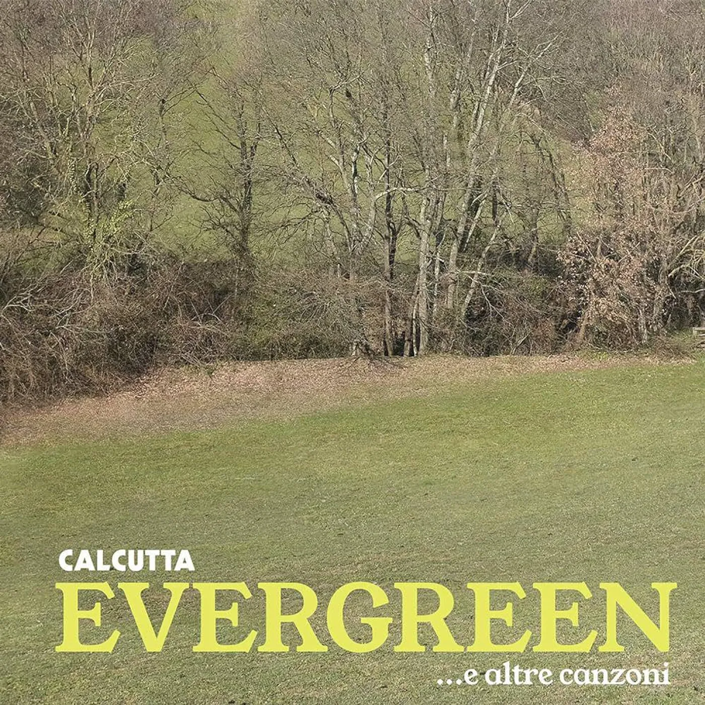 Calcutta  Evergreen E Altre Canzoni (2LP/180-Gram/Baby Blue) Vinyl Record
