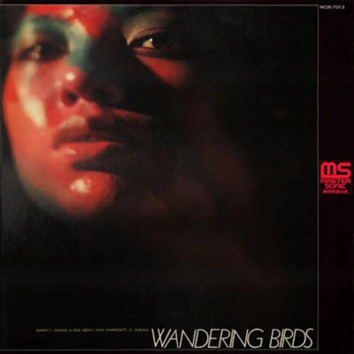 Jiro Inagaki Wandering Birds Vinyl Record