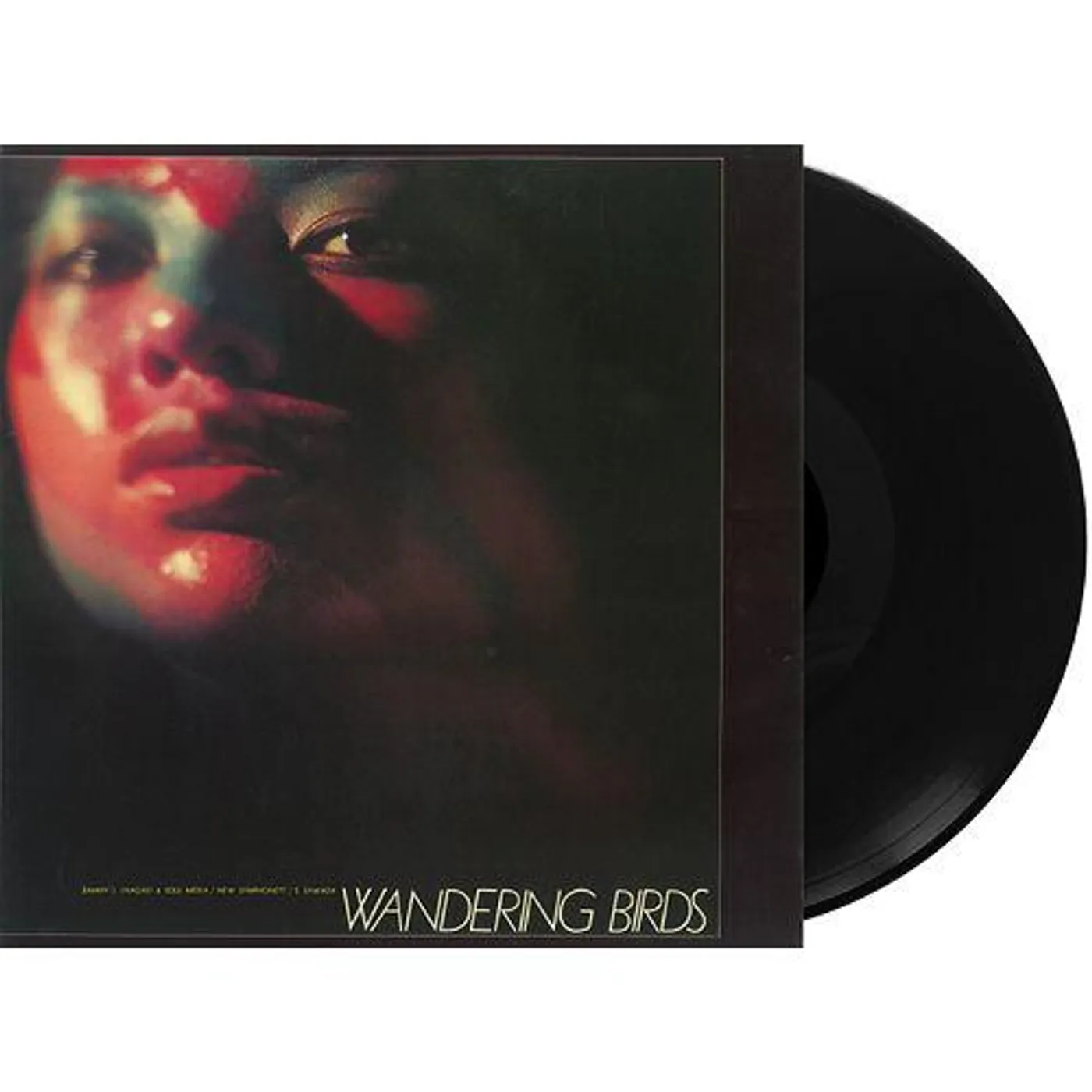 Jiro Inagaki Wandering Birds Vinyl Record