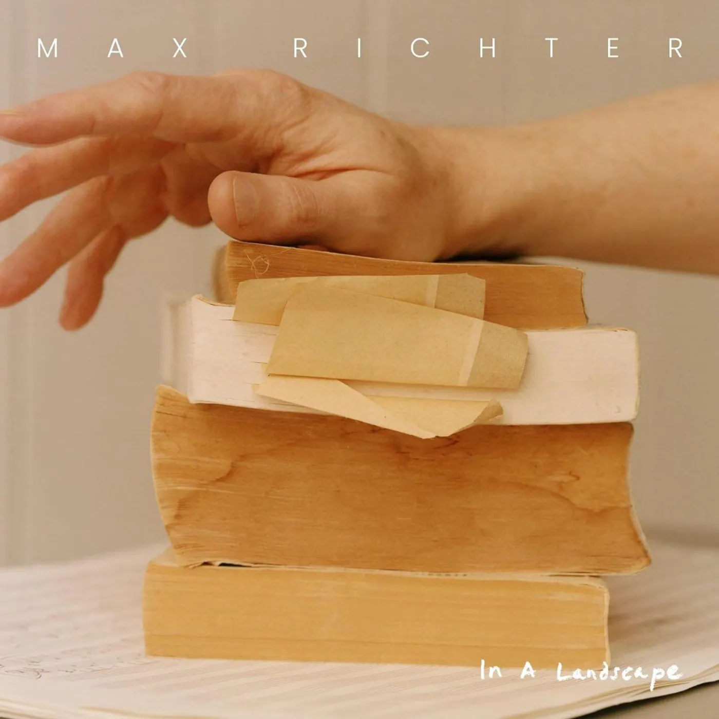 Max Richter In A Landscape (2LP) Vinyl Record