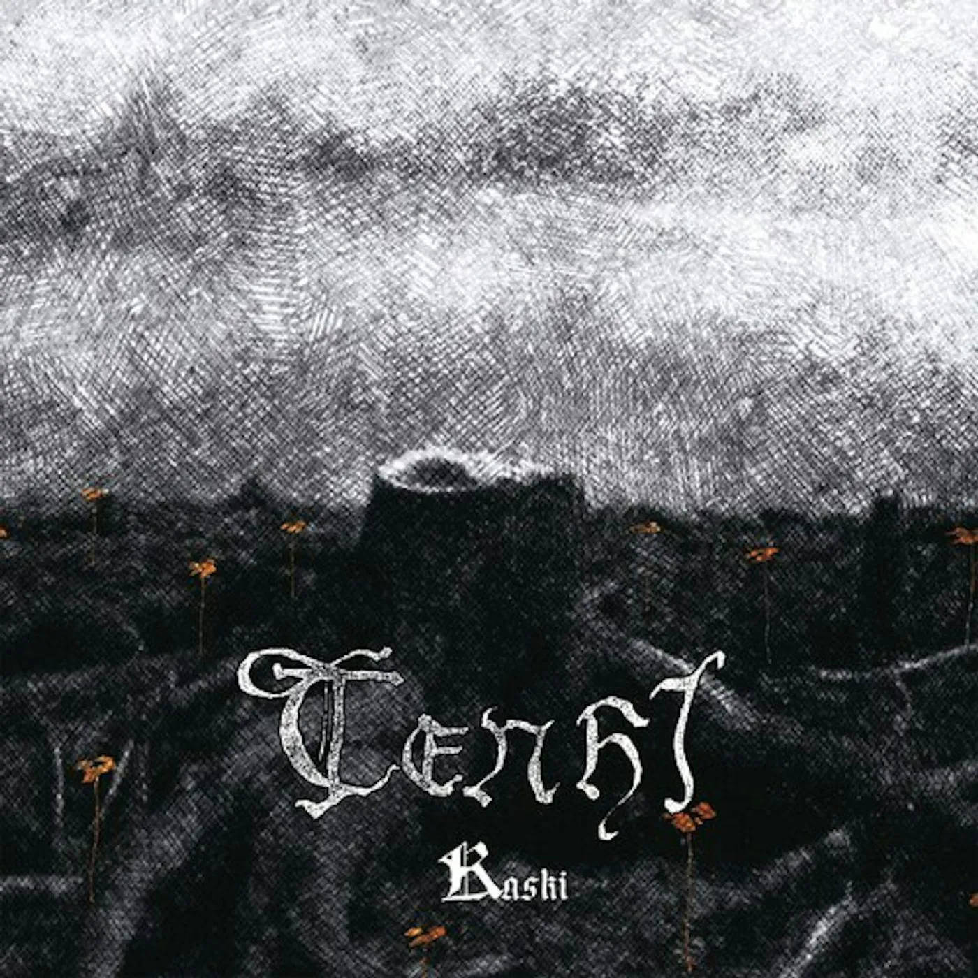 Tenhi KASKI (2LP/OFGV/Clear/Limited) Vinyl Record