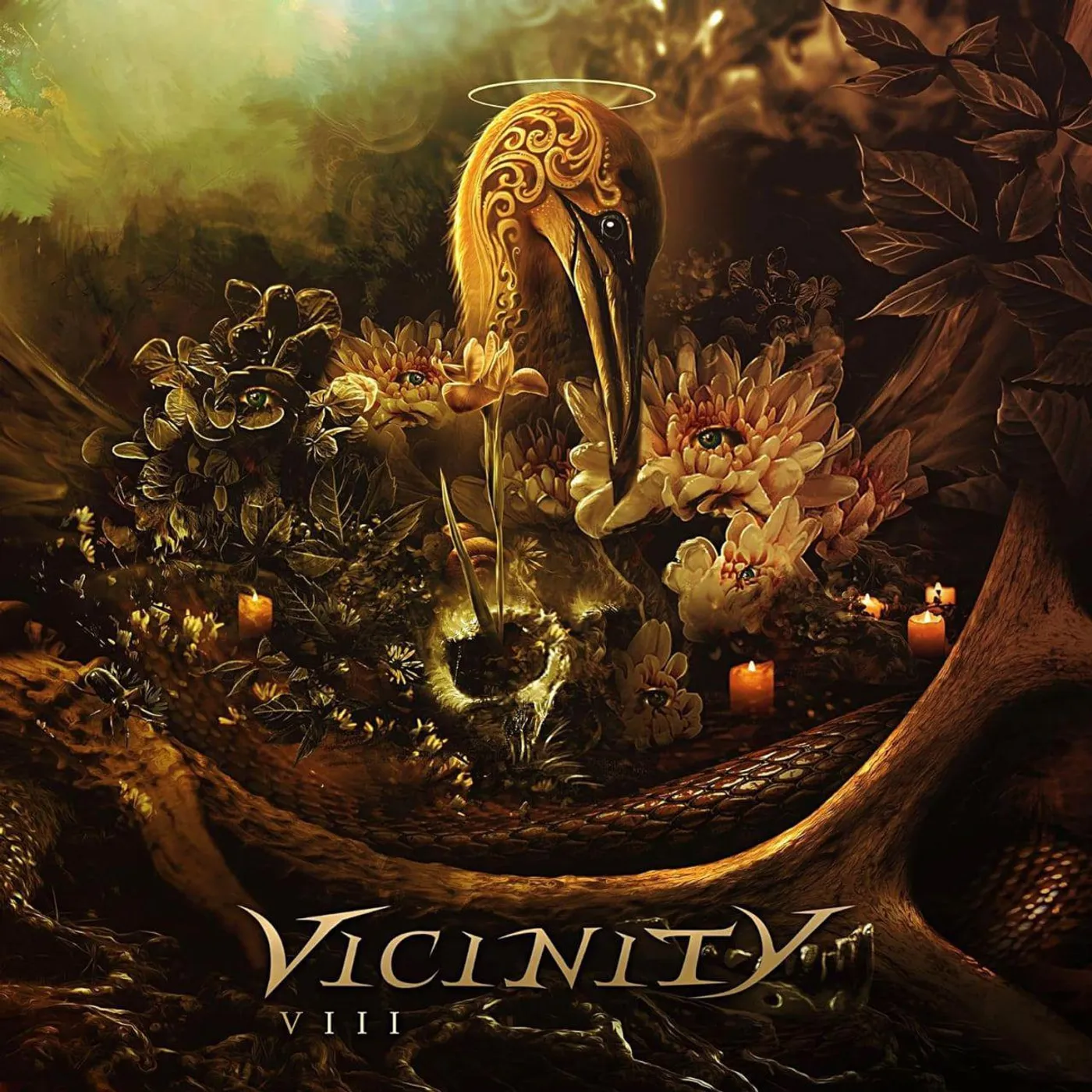 Vicinity VIII (2LP) Vinyl Record