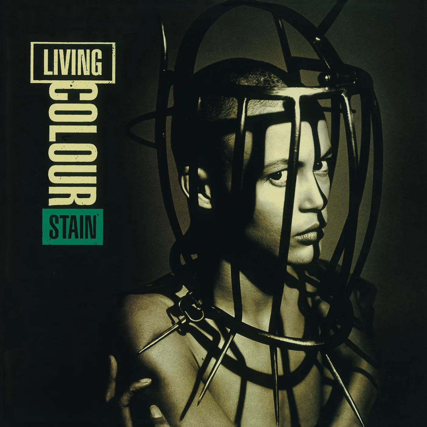 Living Colour Stain (180 Gram, Black) Vinyl Record