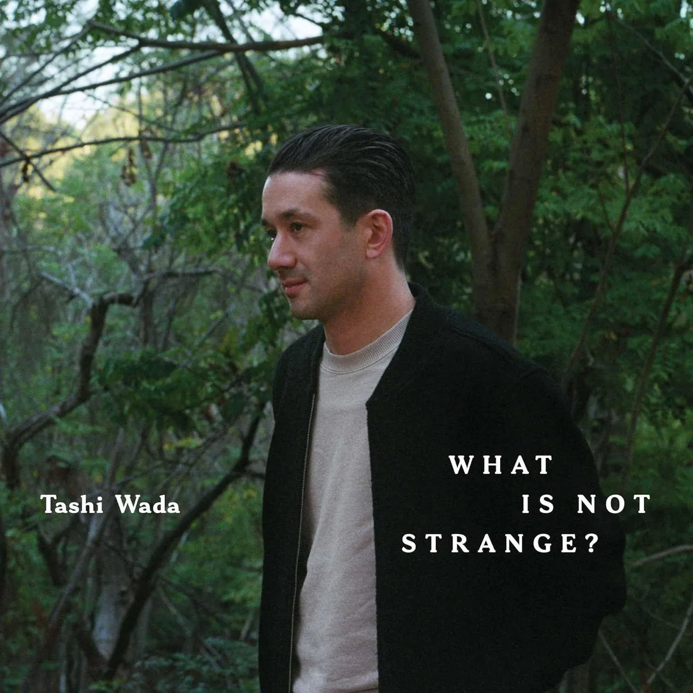 Tashi Wada What Is Not Strange Vinyl Record