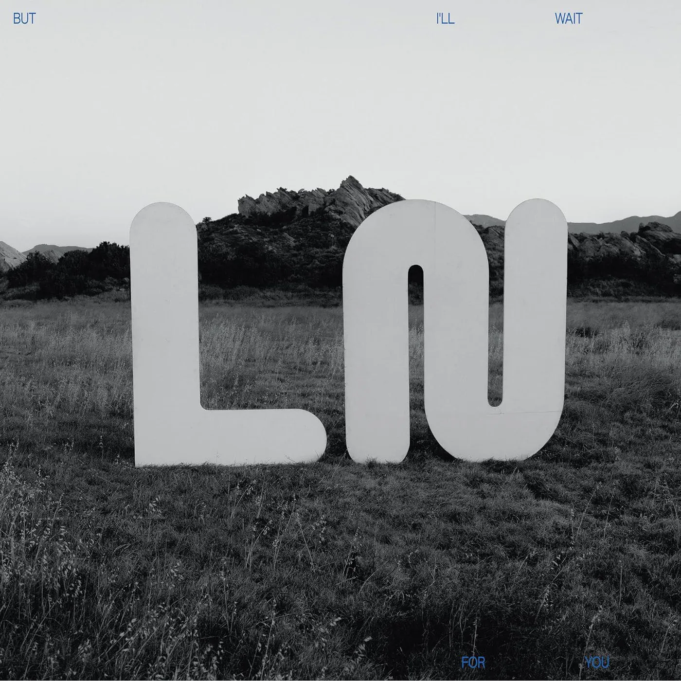 Local Natives But I'll Wait For You Vinyl Record