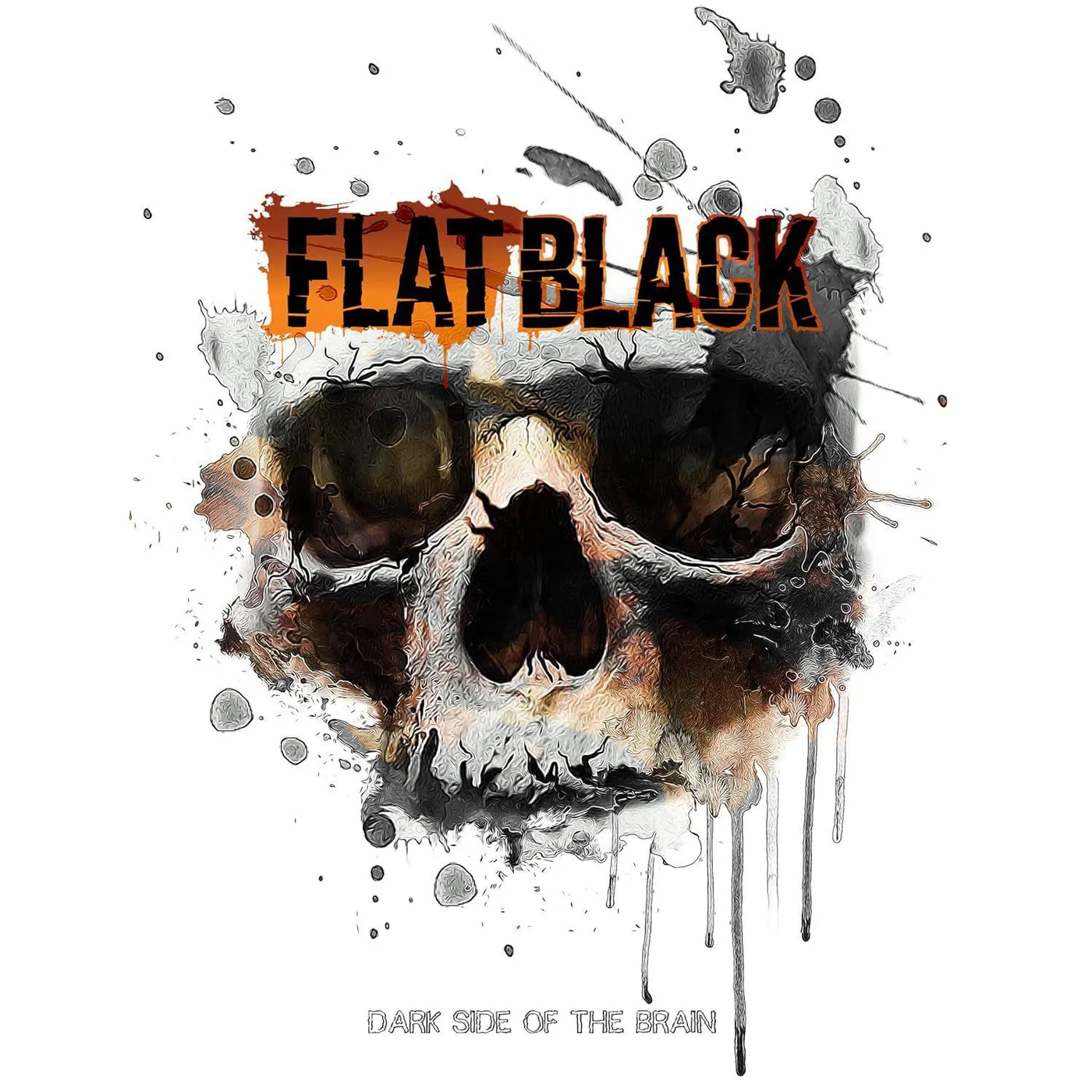 Flat Black Dark Side Of The Brain Vinyl Record
