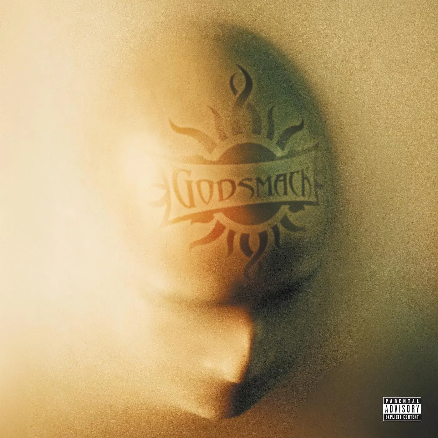 Godsmack Faceless Vinyl Record