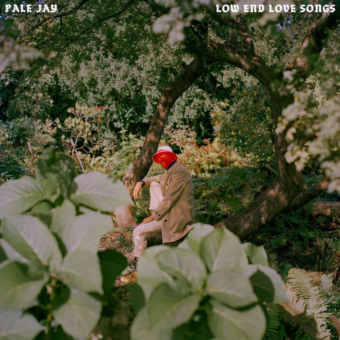 Pale Jay Low End Love Songs Vinyl Record