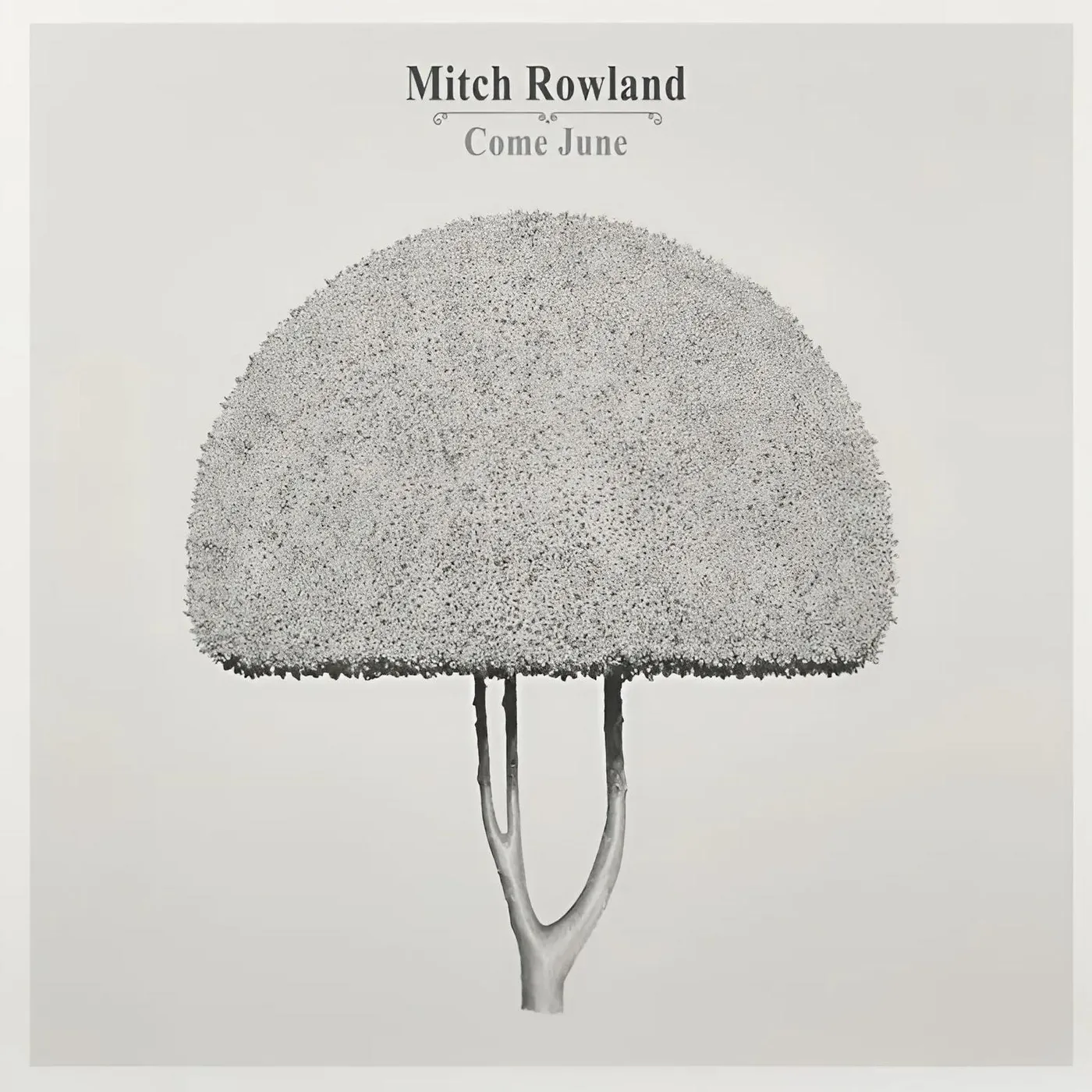 Mitch Rowland Come June Vinyl Record