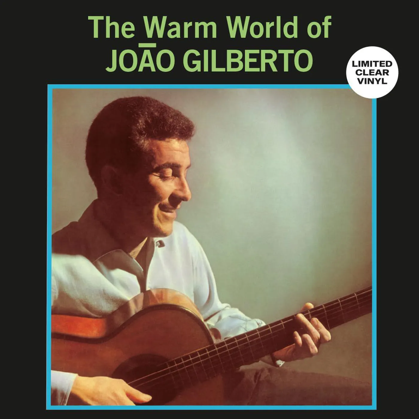  Warm World Of João Gilberto (Clear) Vinyl Record