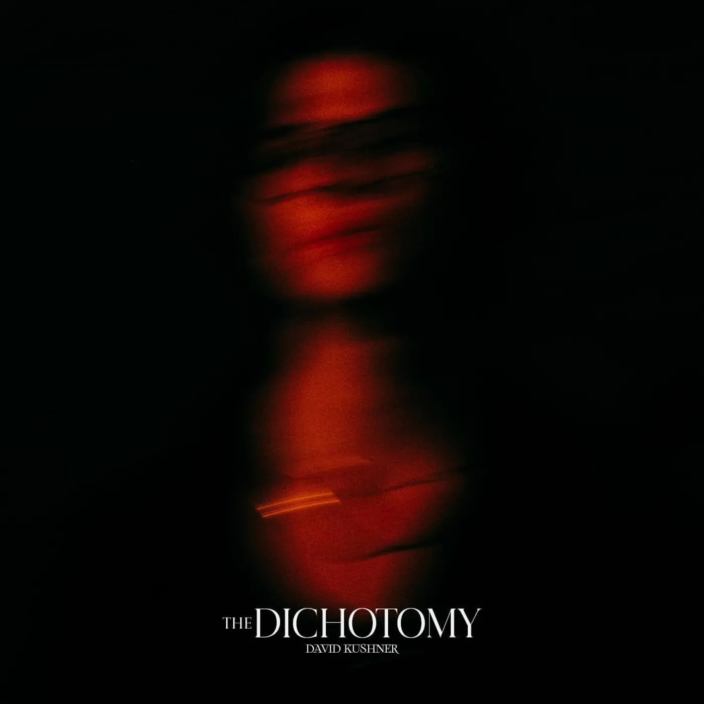 David Kushner Dichotomy (2LP) Vinyl Record