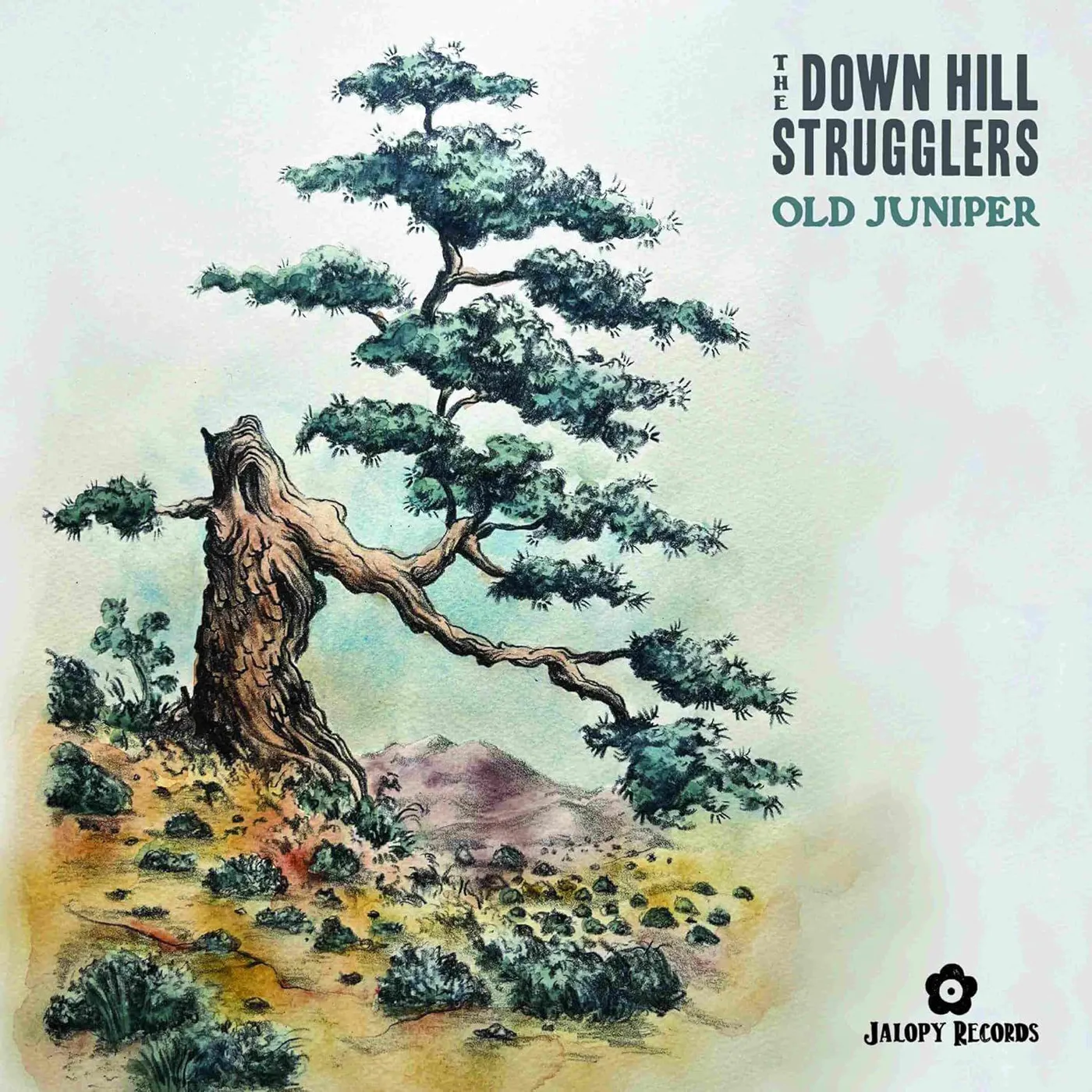 The Down Hill Strugglers Old Juniper Vinyl Record