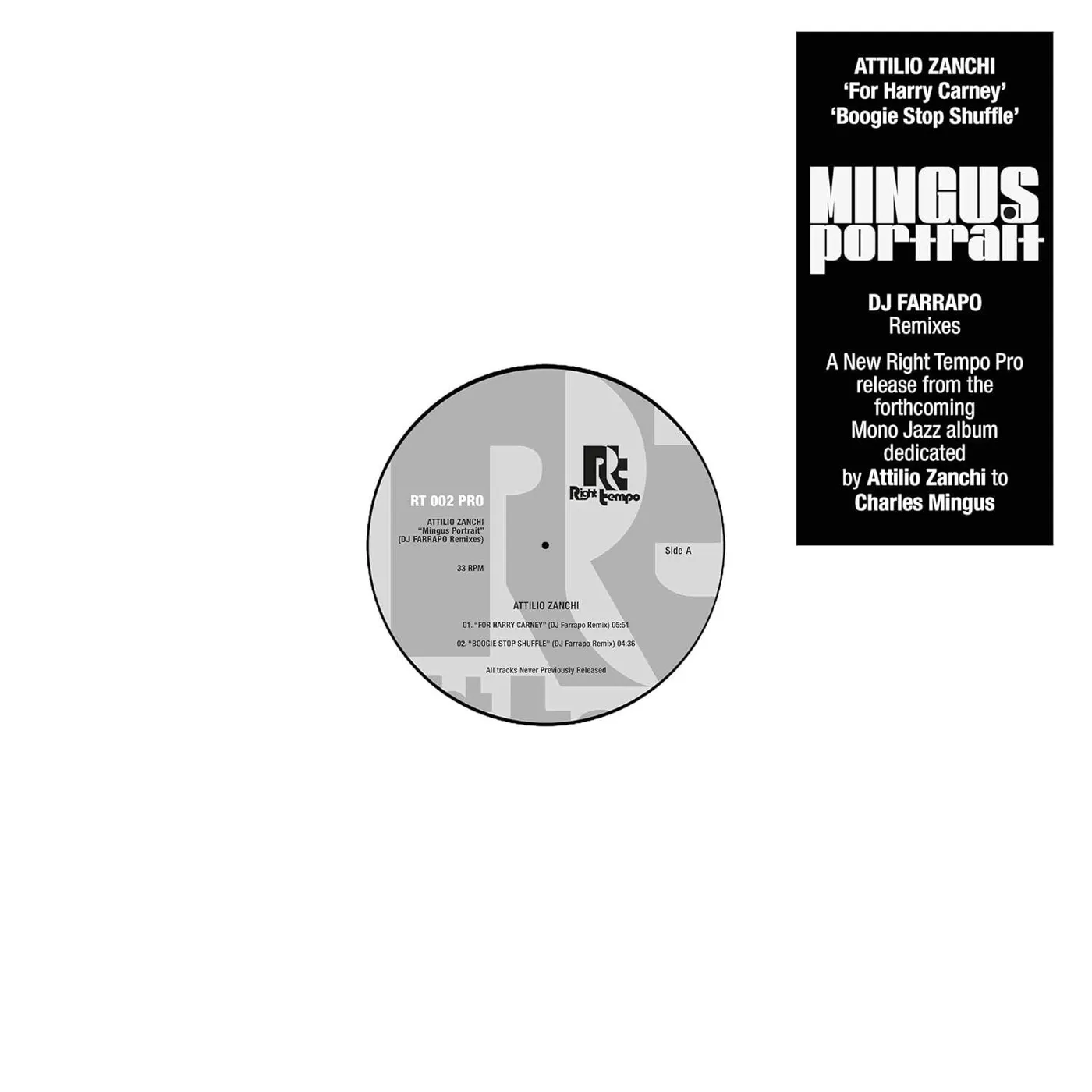 Attilio Zanchi Mingus Portrait (Dj Farrapo Remixes) Vinyl Record