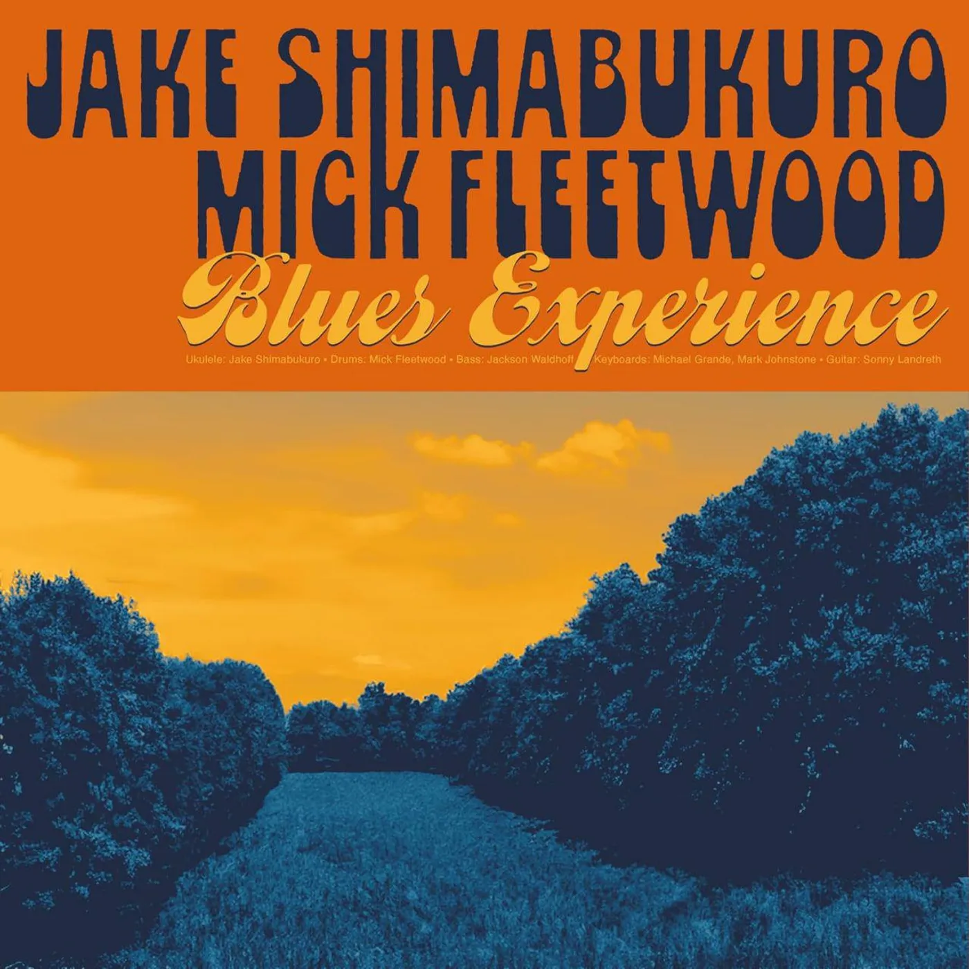 Jake Shimabukuro Blues Experience (180g) Vinyl Record
