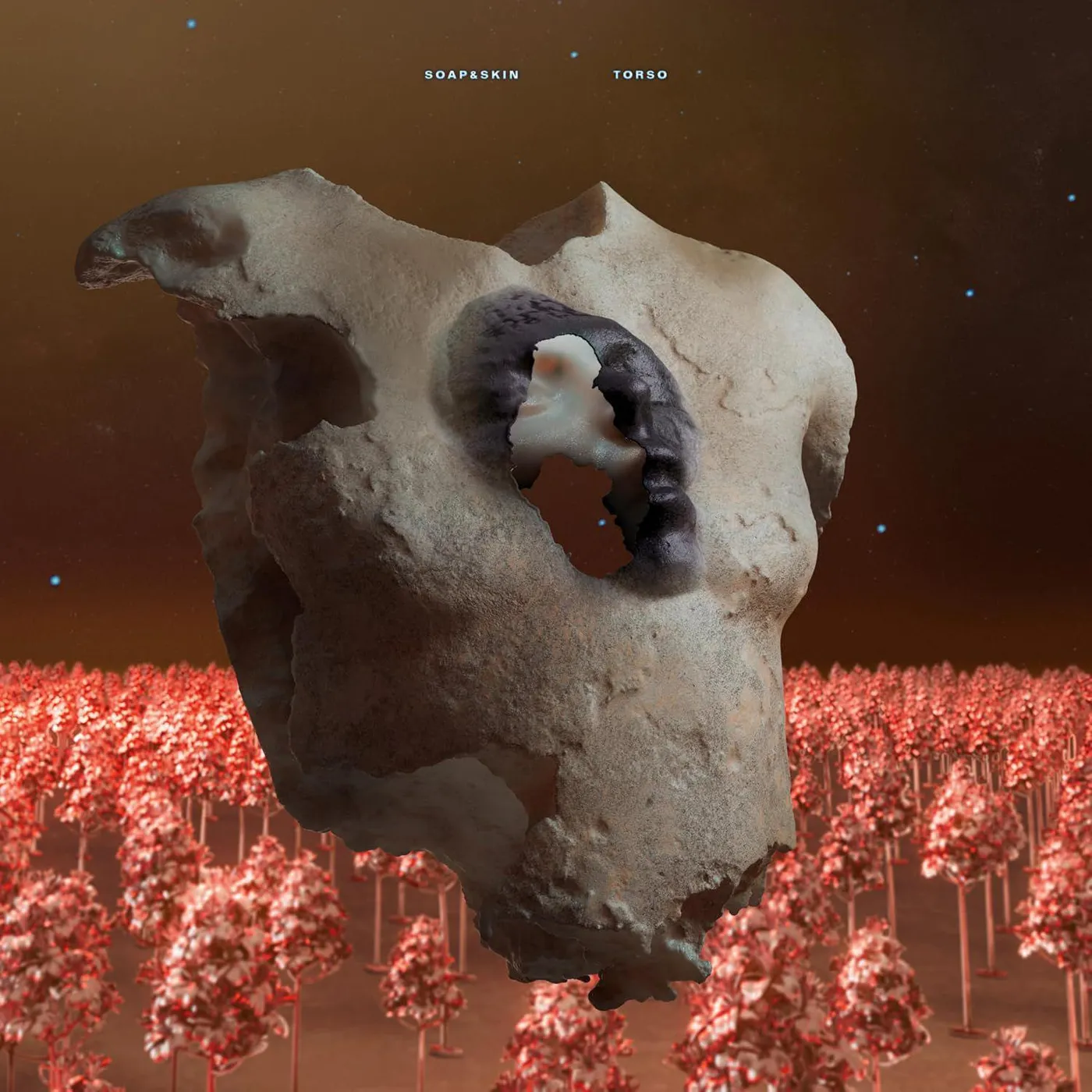 Soap&Skin Torso Vinyl Record