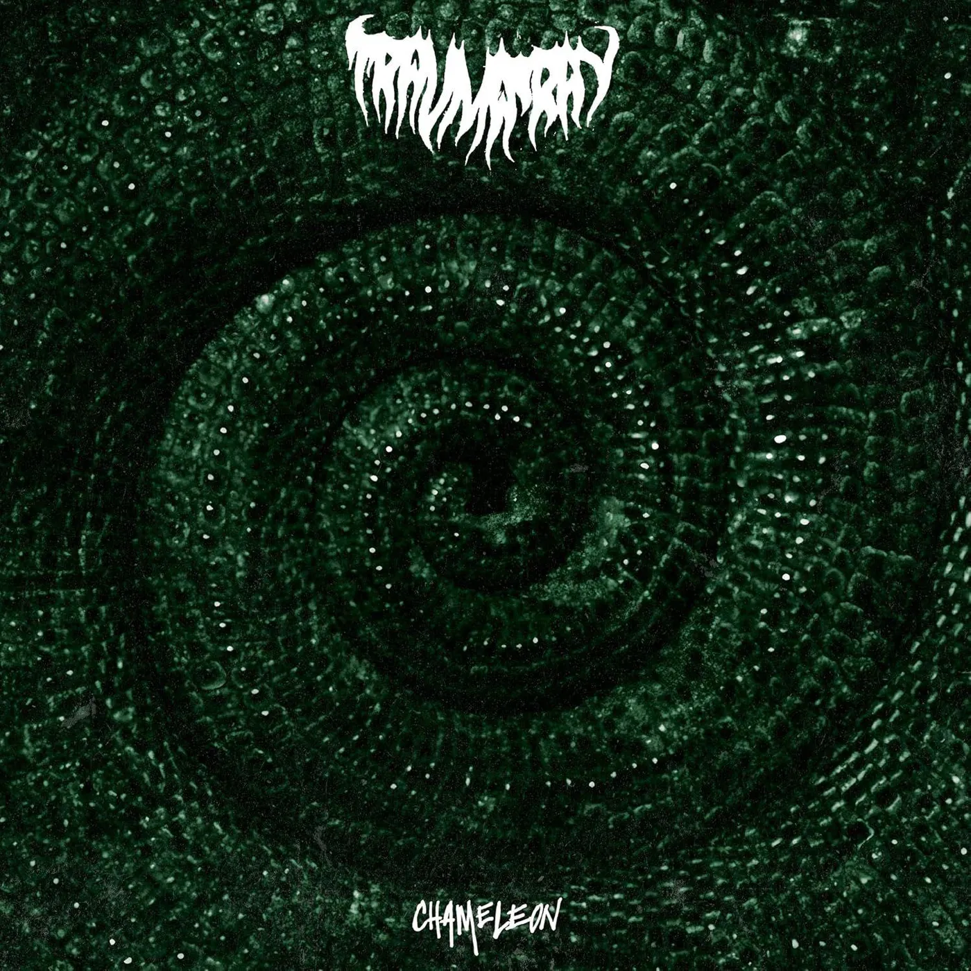 trauma ray Chameleon Vinyl Record