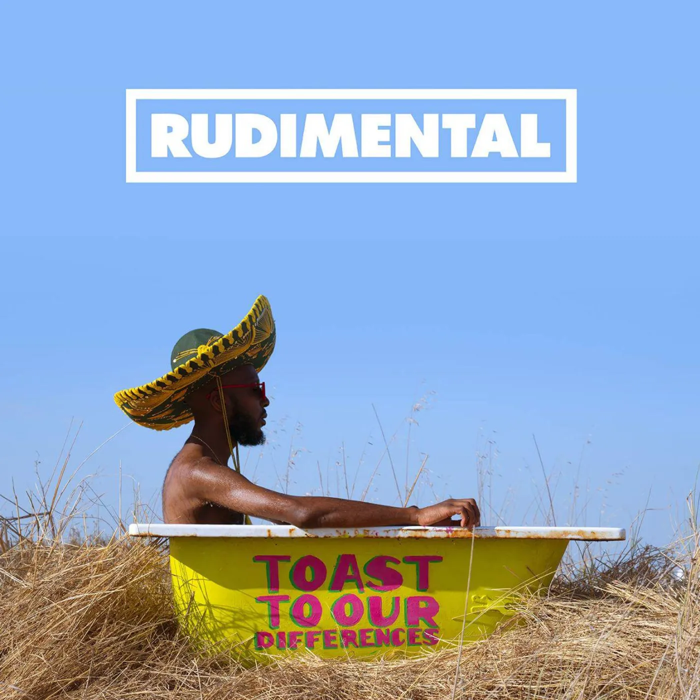 Rudimental Toast to Our Differences (2LP) Vinyl Record