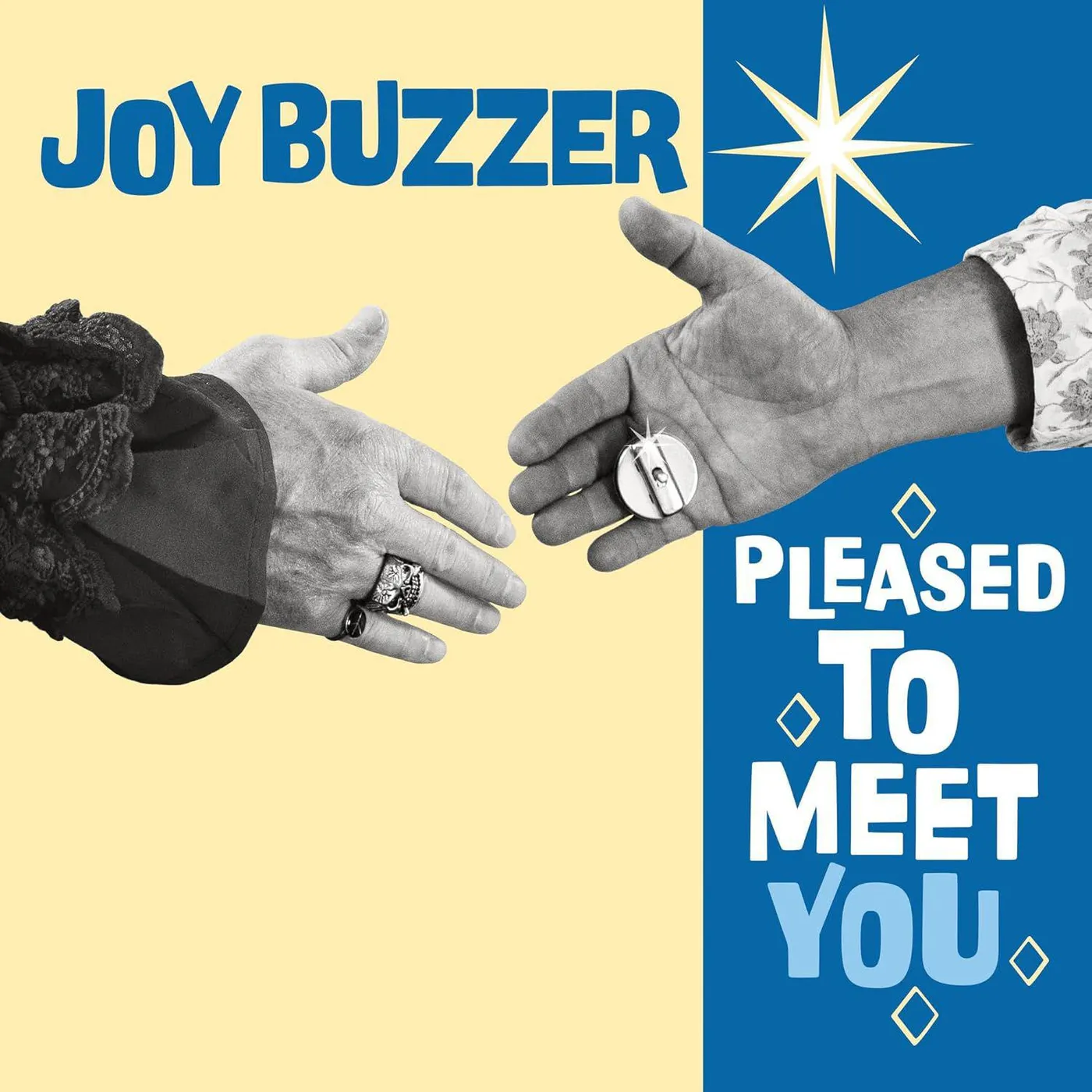 Joy Buzzer Pleased To Meet You Vinyl Record