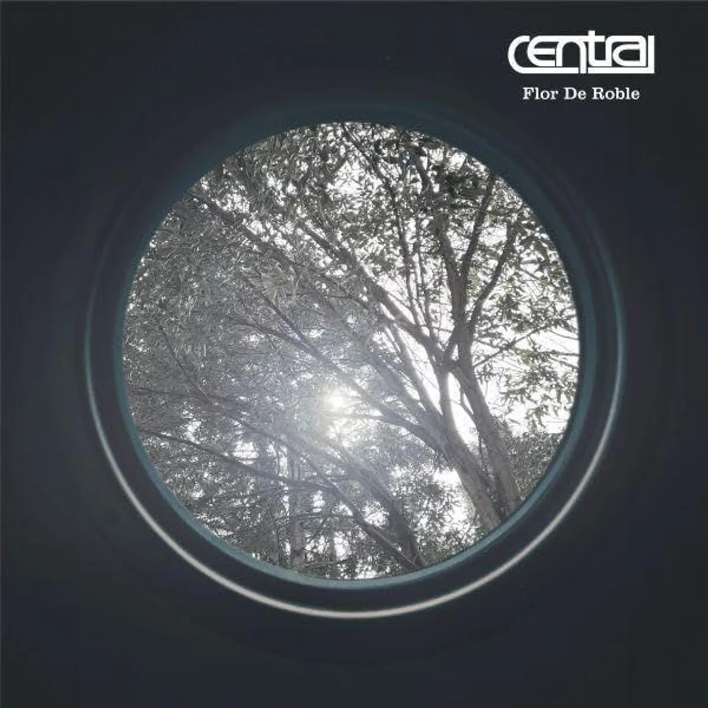 Central Flor De Roble Vinyl Record