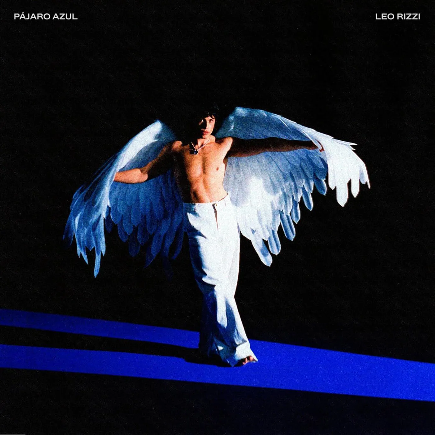 Leo Rizzi Pajaro Azul (With Poster) [Import] Vinyl Record