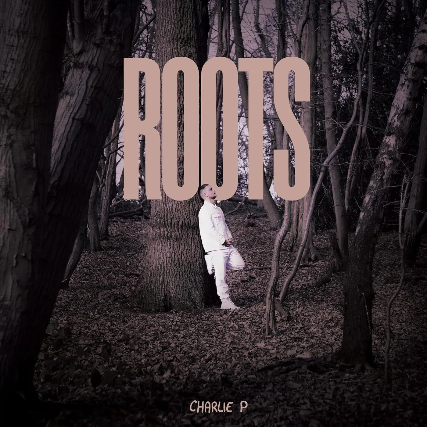 Charlie P Roots Vinyl Record