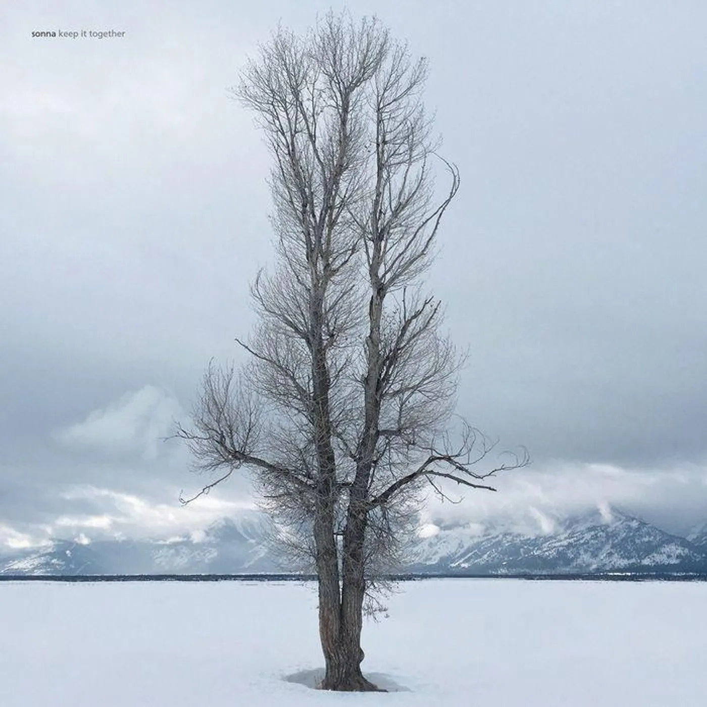 Sonna Keep It Together (2LP/White) Vinyl Record