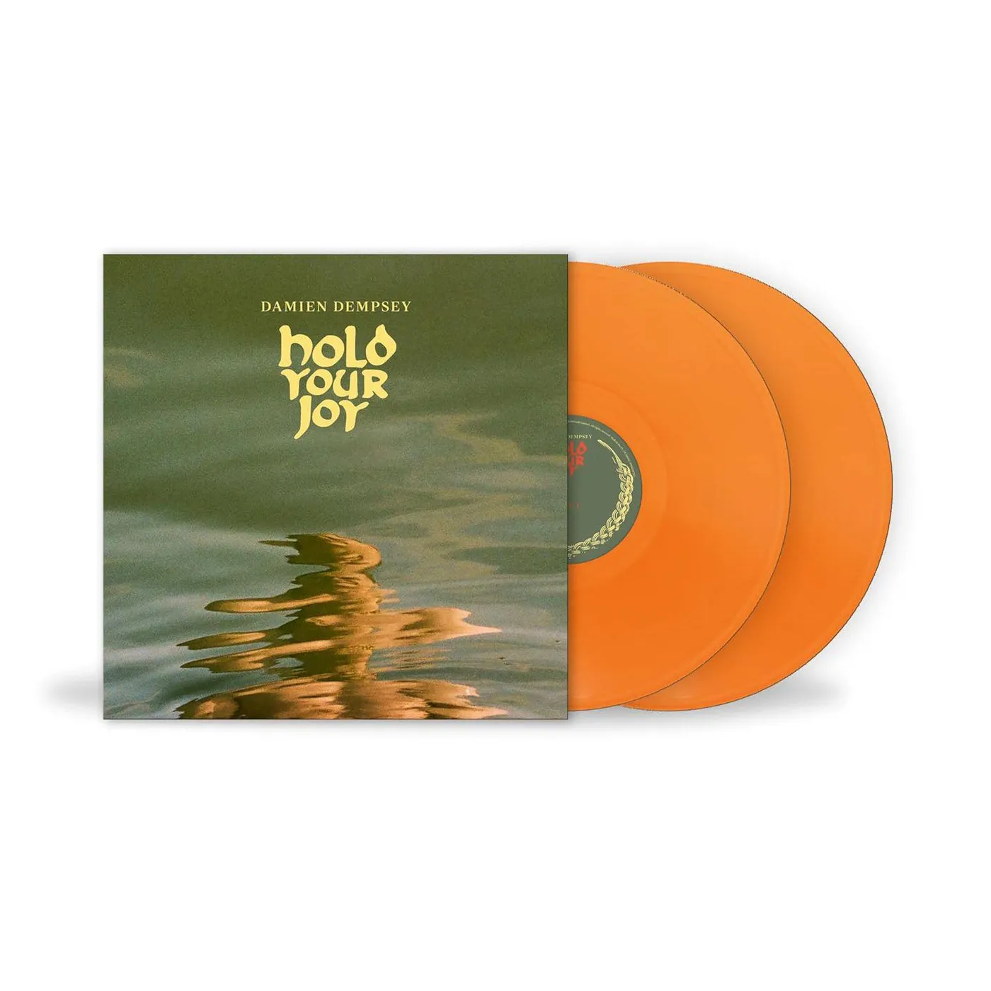 Damien Dempsey Hold Your Joy Vinyl Record