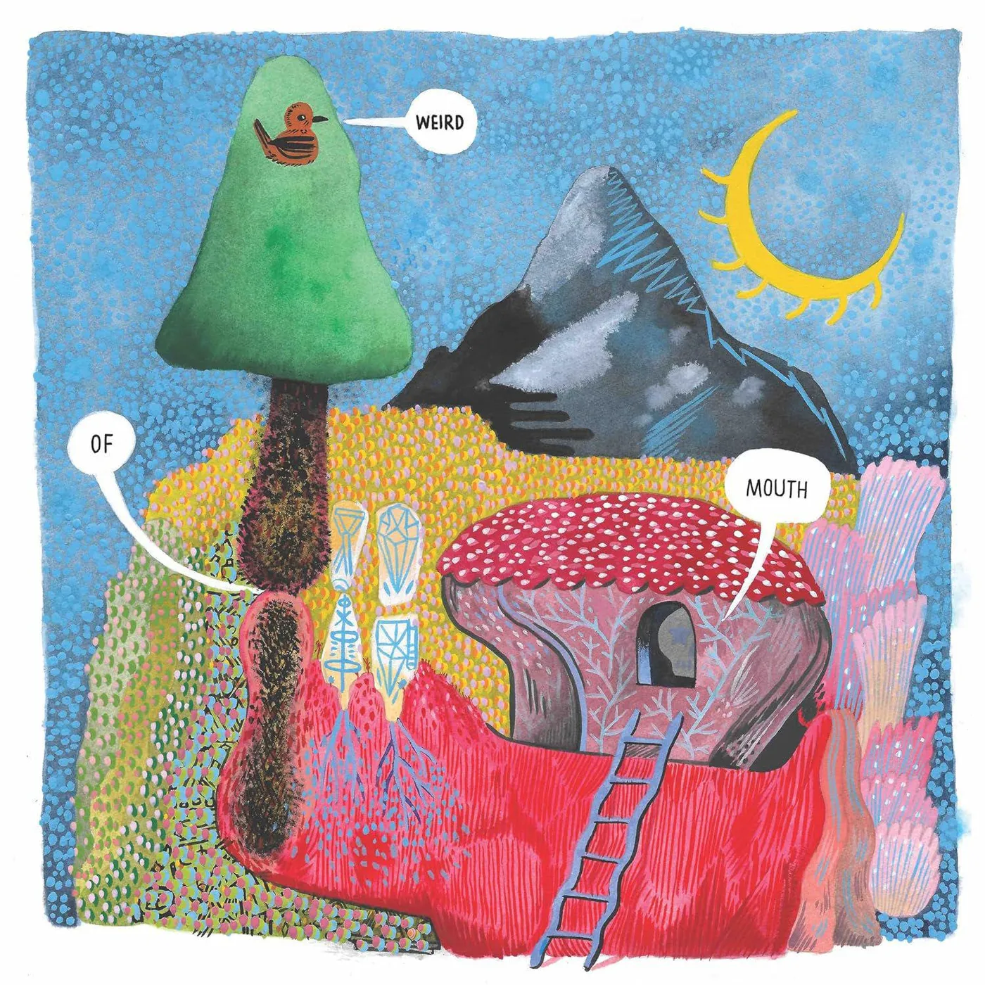  Weird Of Mouth Vinyl Record