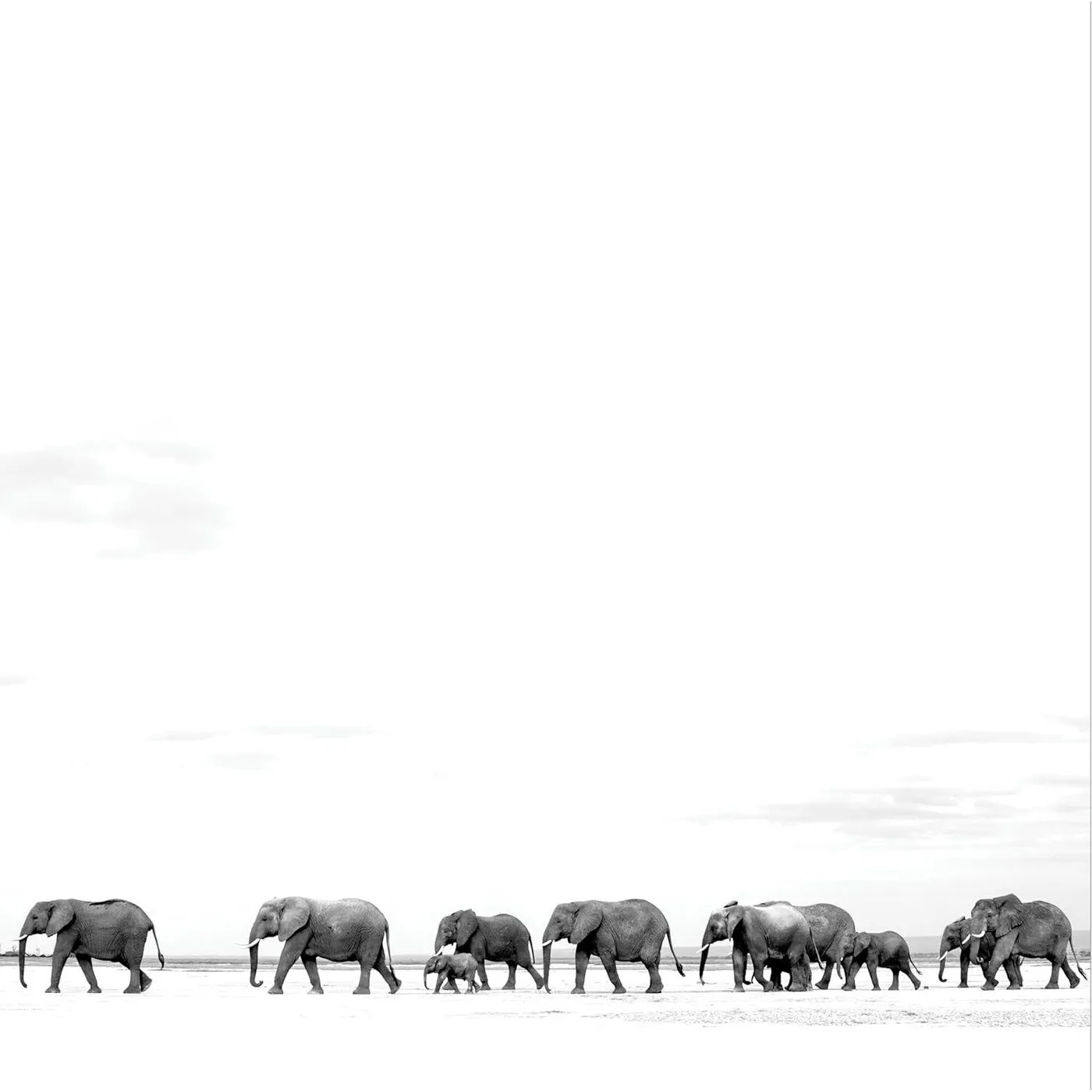 Dave Matthews Where Are You Going: The Singles (2LP) Vinyl Record